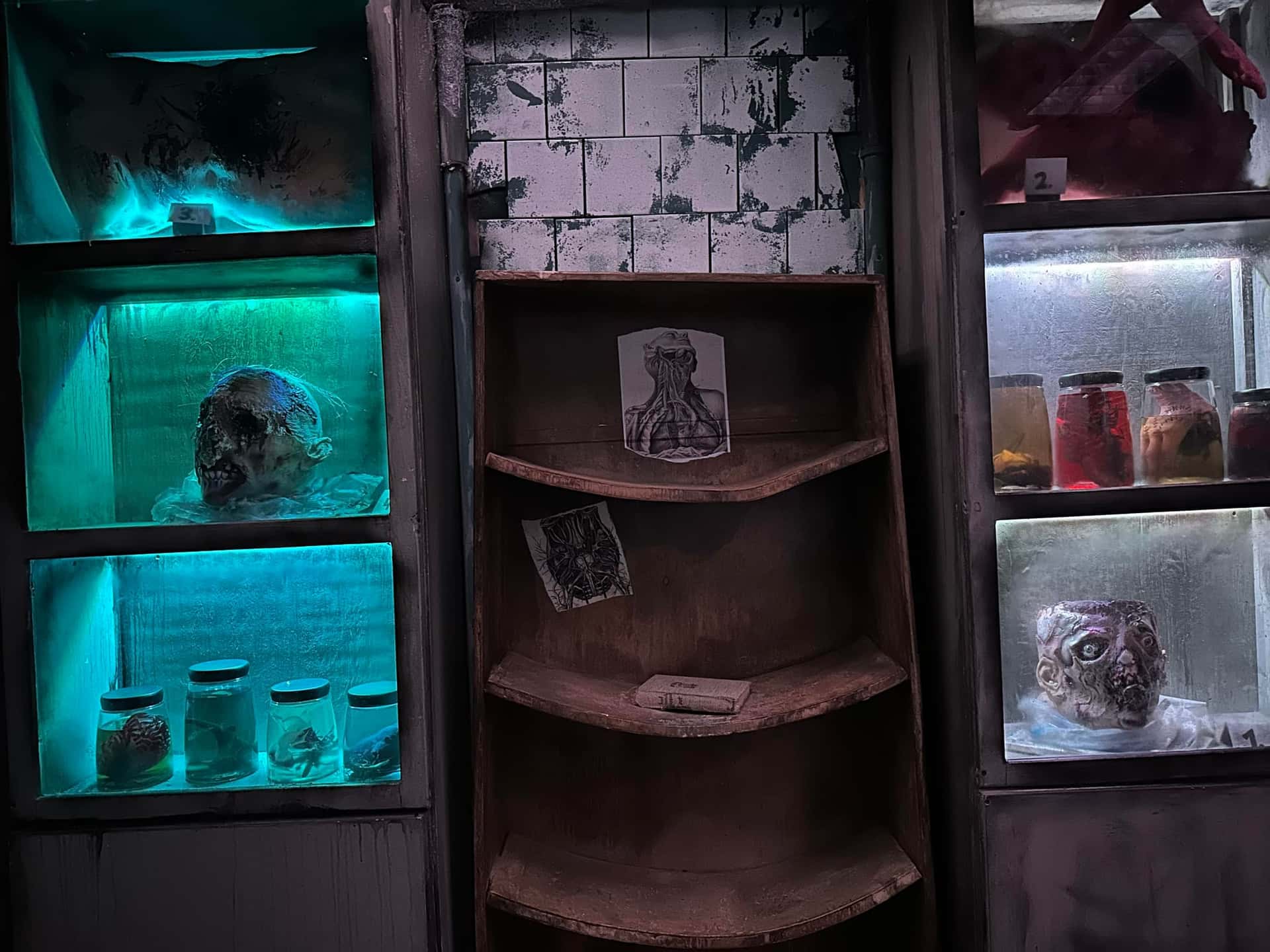 Vitrinen mit Präparategläsern und Schädel im Escape Room Madhouse (Infection) in Rosenheim
